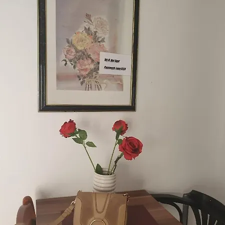Nala Apartman *